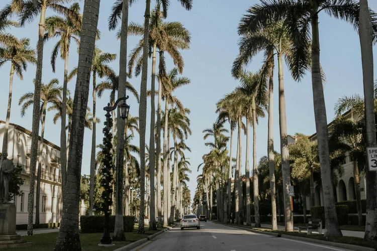 Palm Beach Luxury