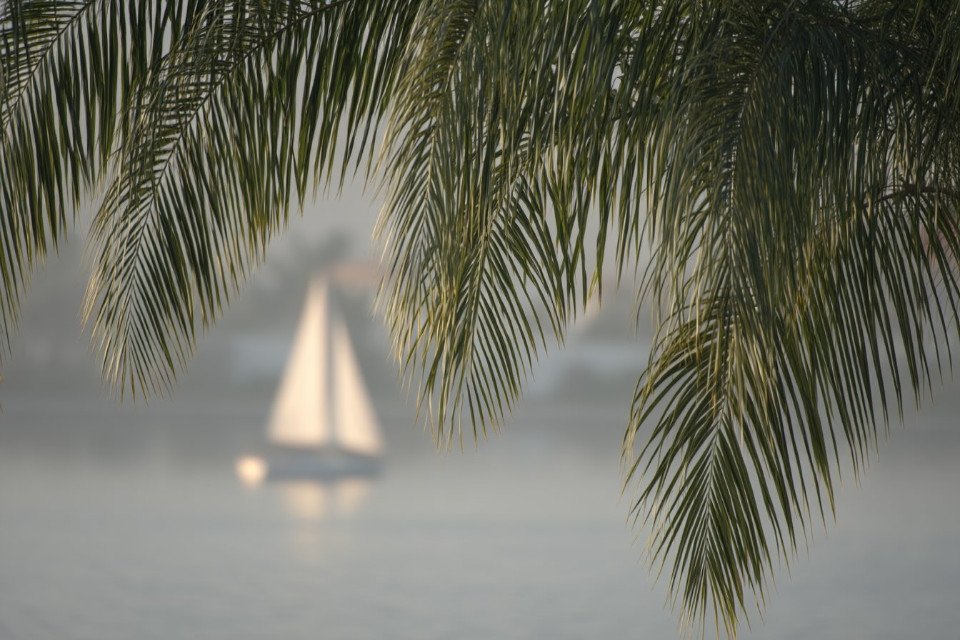 North End Palm Beach Market Report Q4 2025