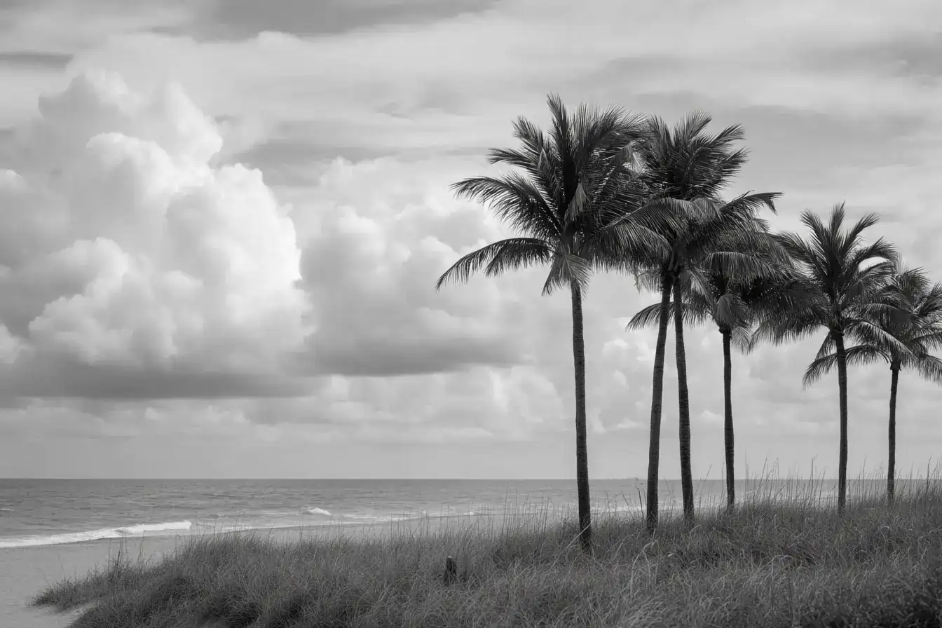 New Developments Palm Beach County