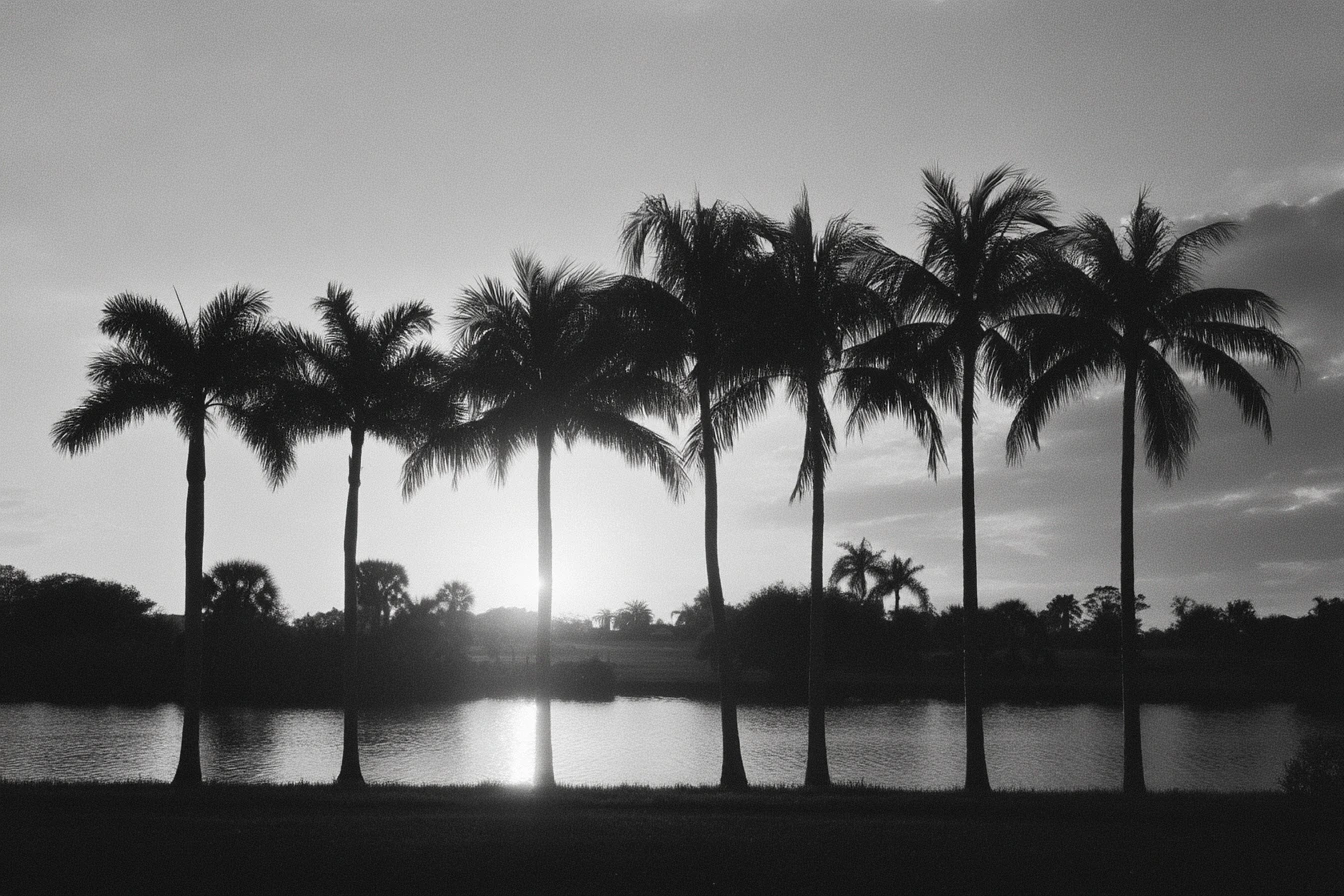 Start your Private Exclusive in one day.