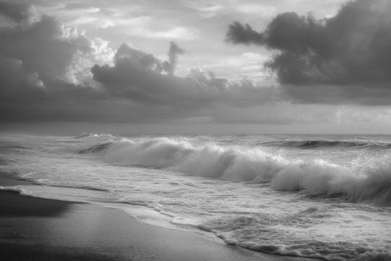 Beaches & Recreation