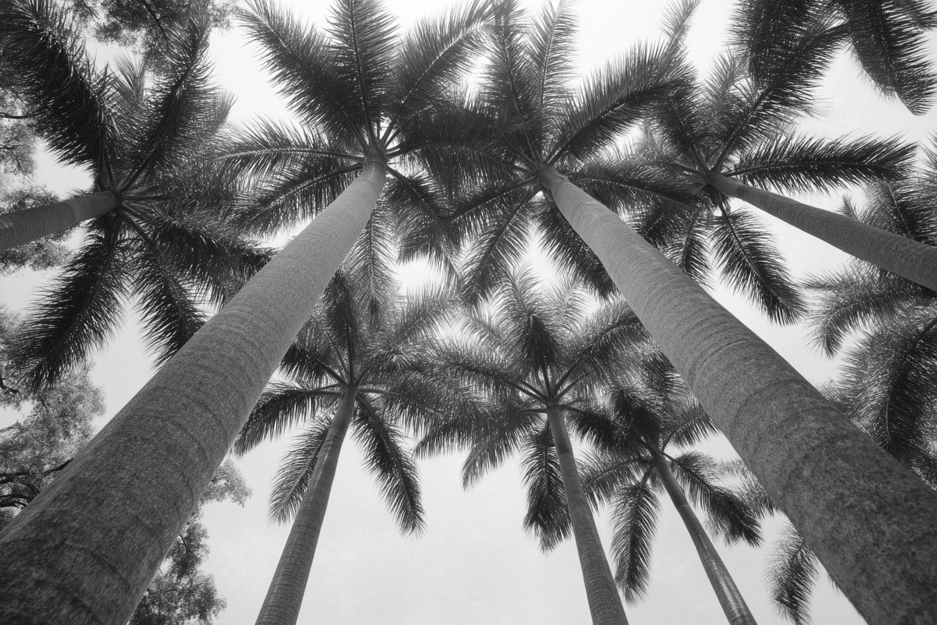 The Complete Guide to South Florida’s Top Private Schools (2026)