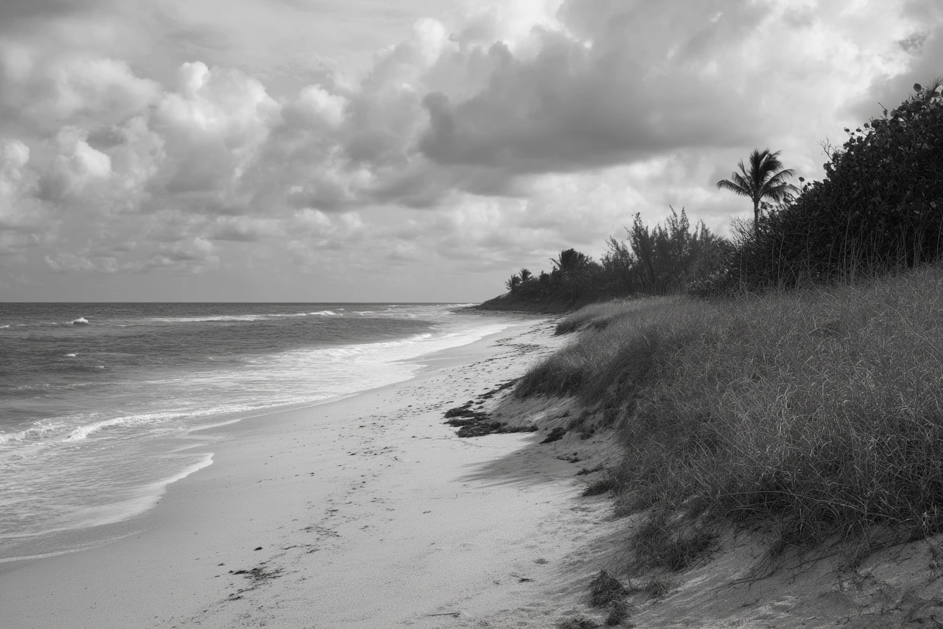 No Commercial Development