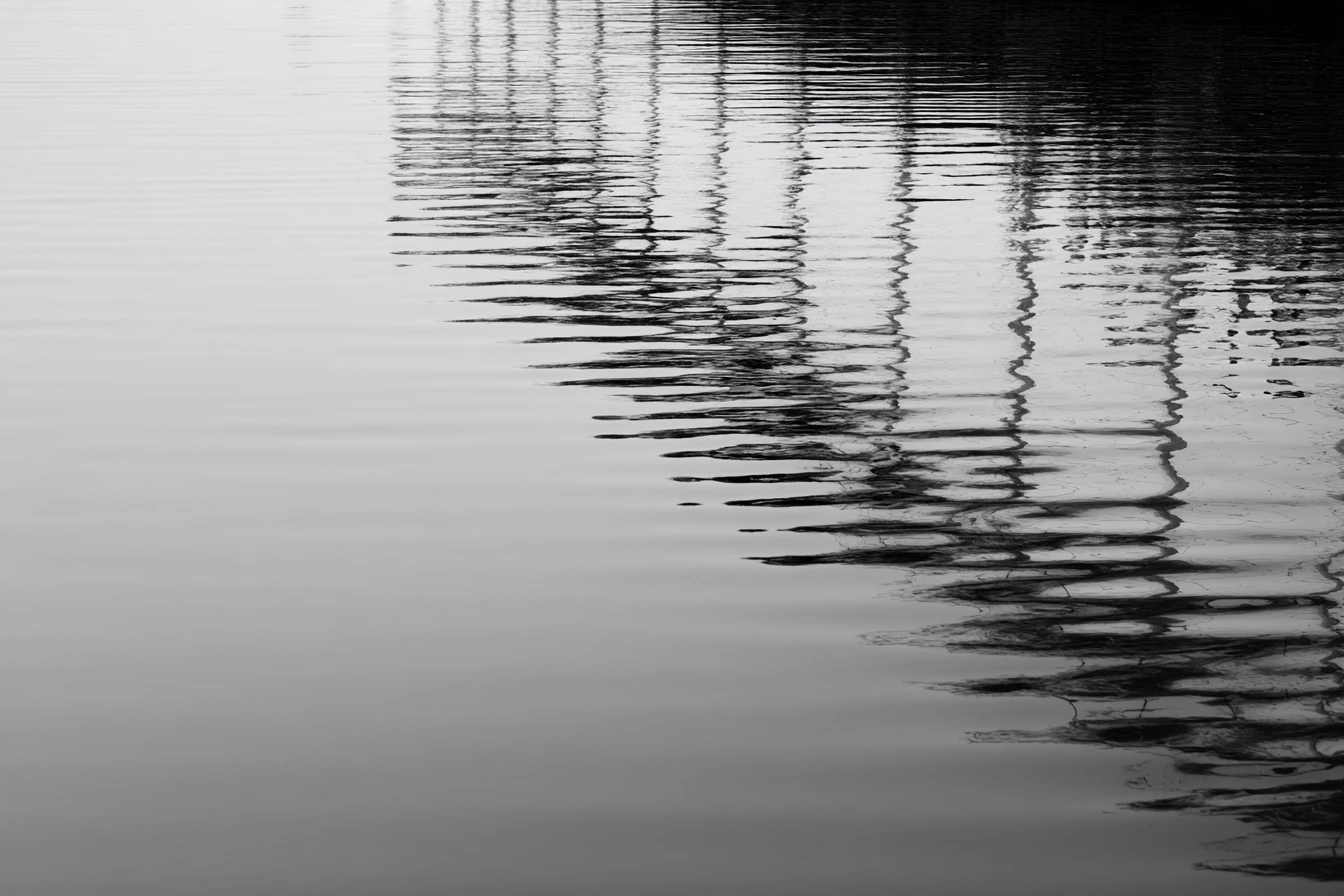 Palm Beach Waterfront<br>Homes for Sale