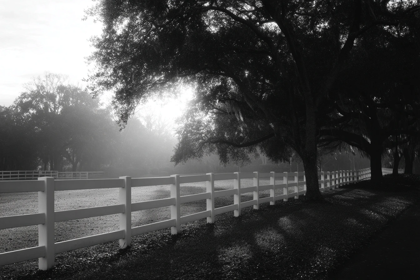 Bridle Trail Network