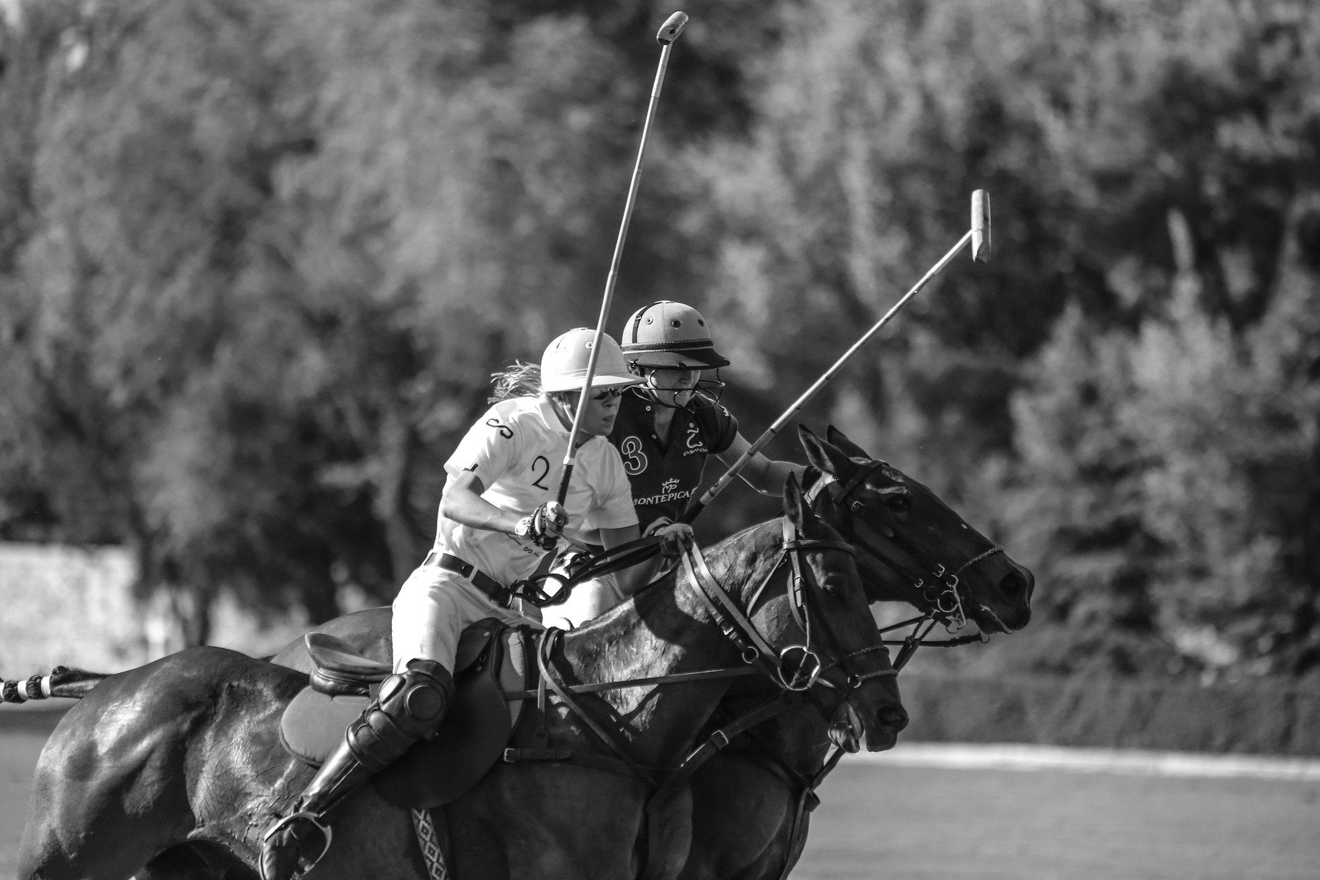 Wellington Polo 2026: Season Schedule, Teams, Tickets, and Equestrian Real Estate