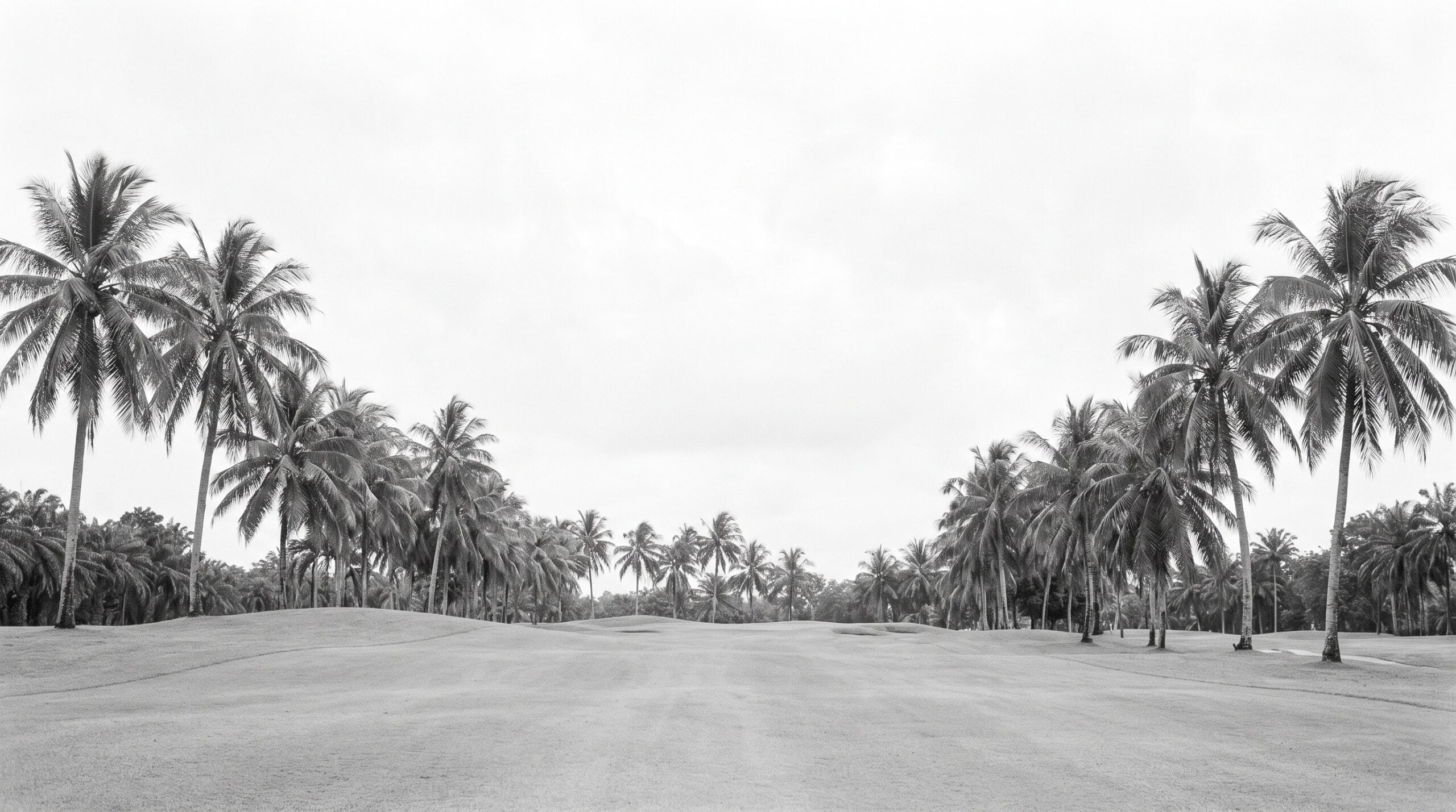 BallenIslesHomes for Sale