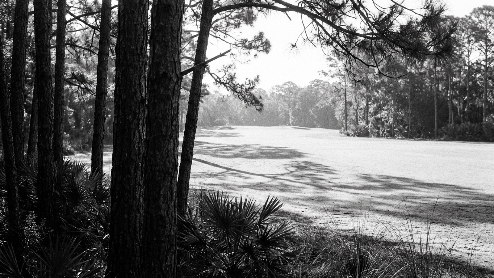 The Bears Club, Jupiter: Complete Sales History & Price Appreciation, 2015-2026