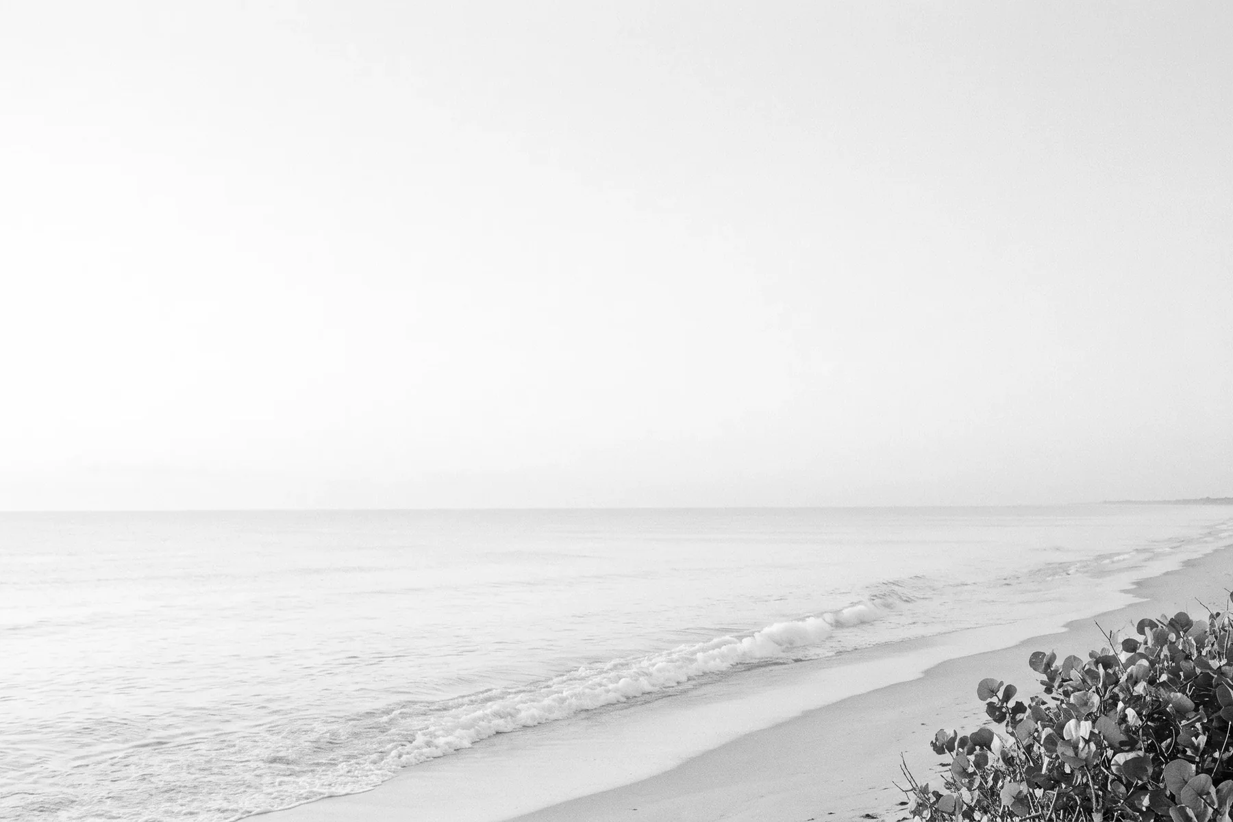 Relocating to Palm Beach? about