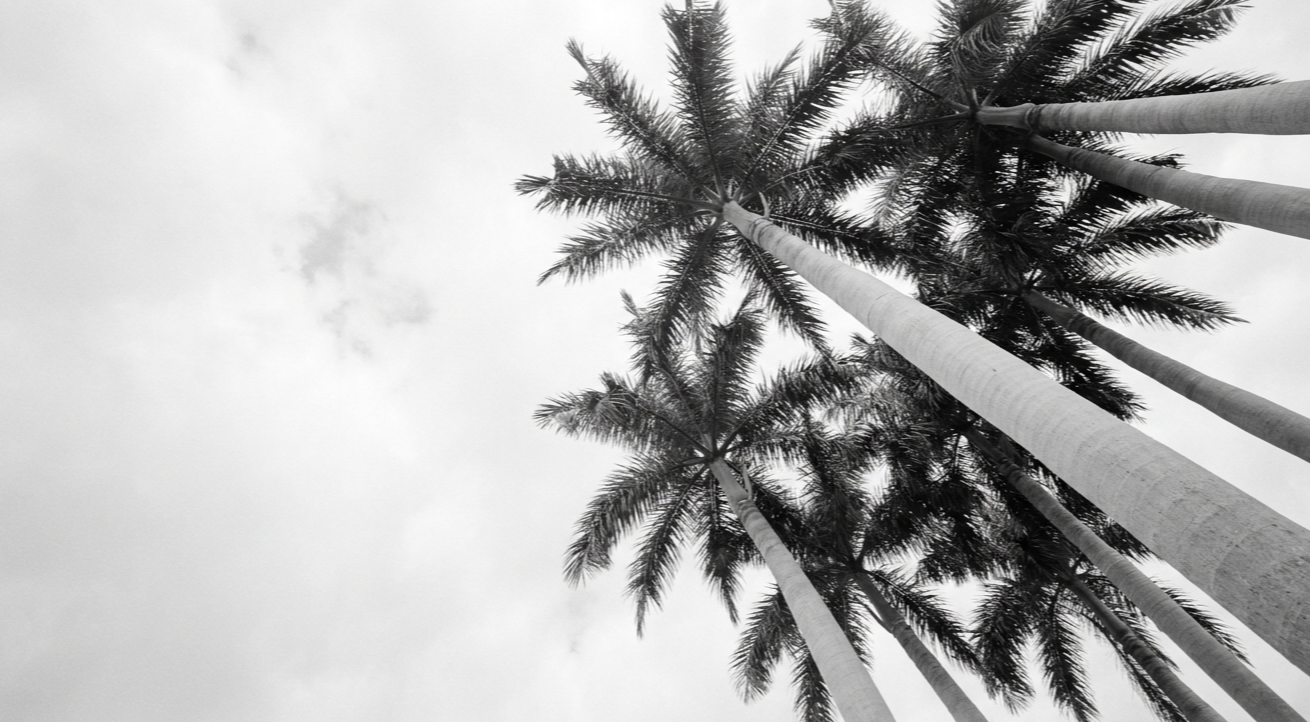 One House Under Five Million: Buying in Palm Beach in 2026