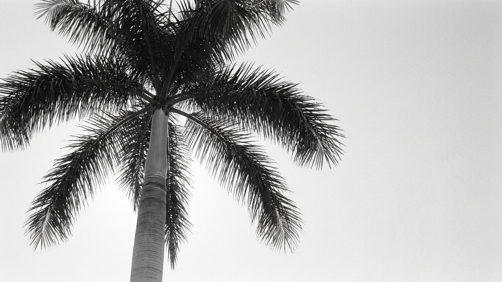 Transacting at $5M+ in Palm Beach County: A Principal’s Checklist