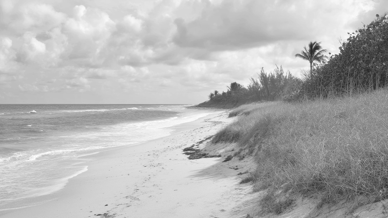 Rare Coastal Property as a Capital Preservation Asset in Palm Beach County