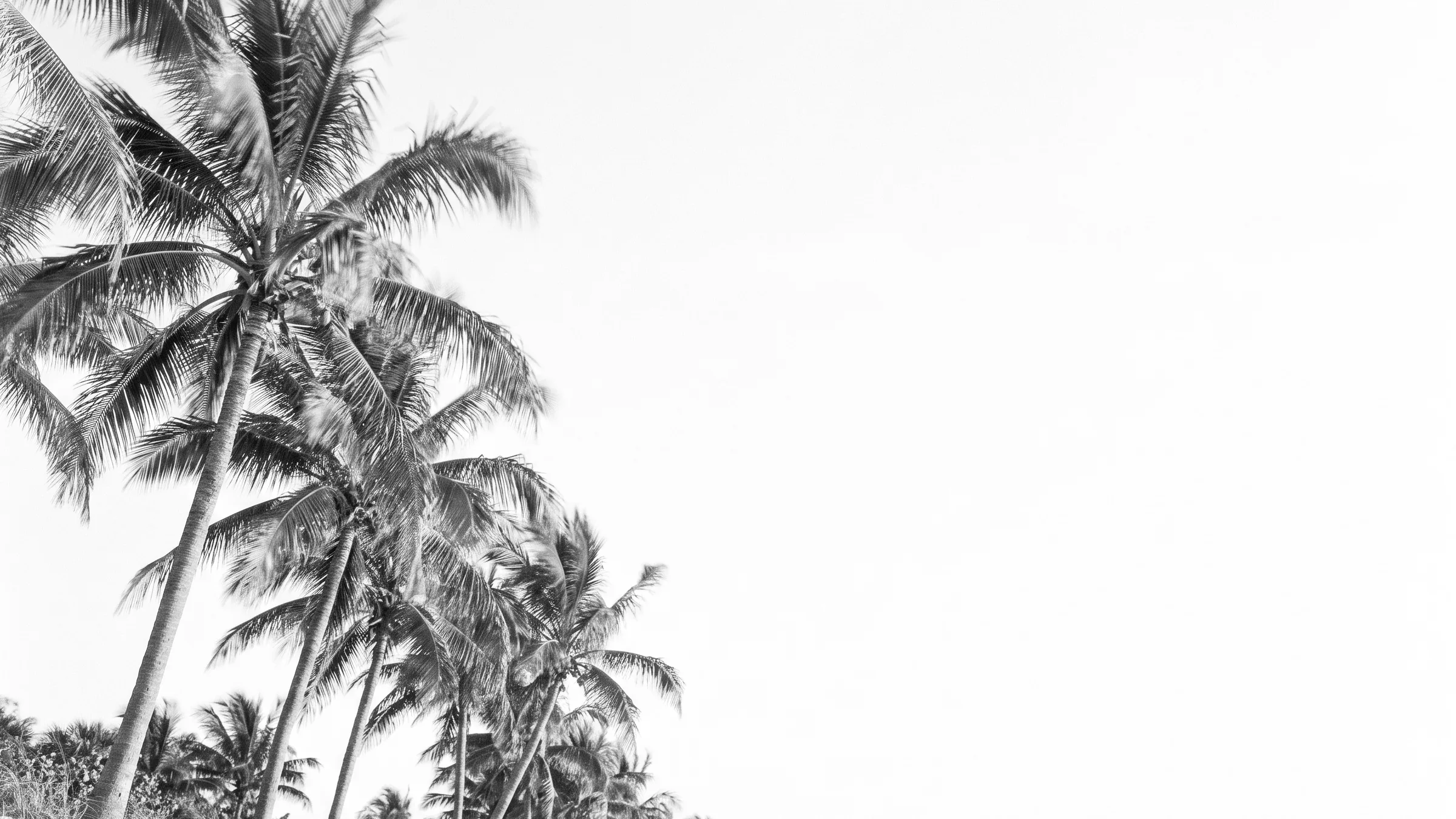 Delray BeachHomes for Sale