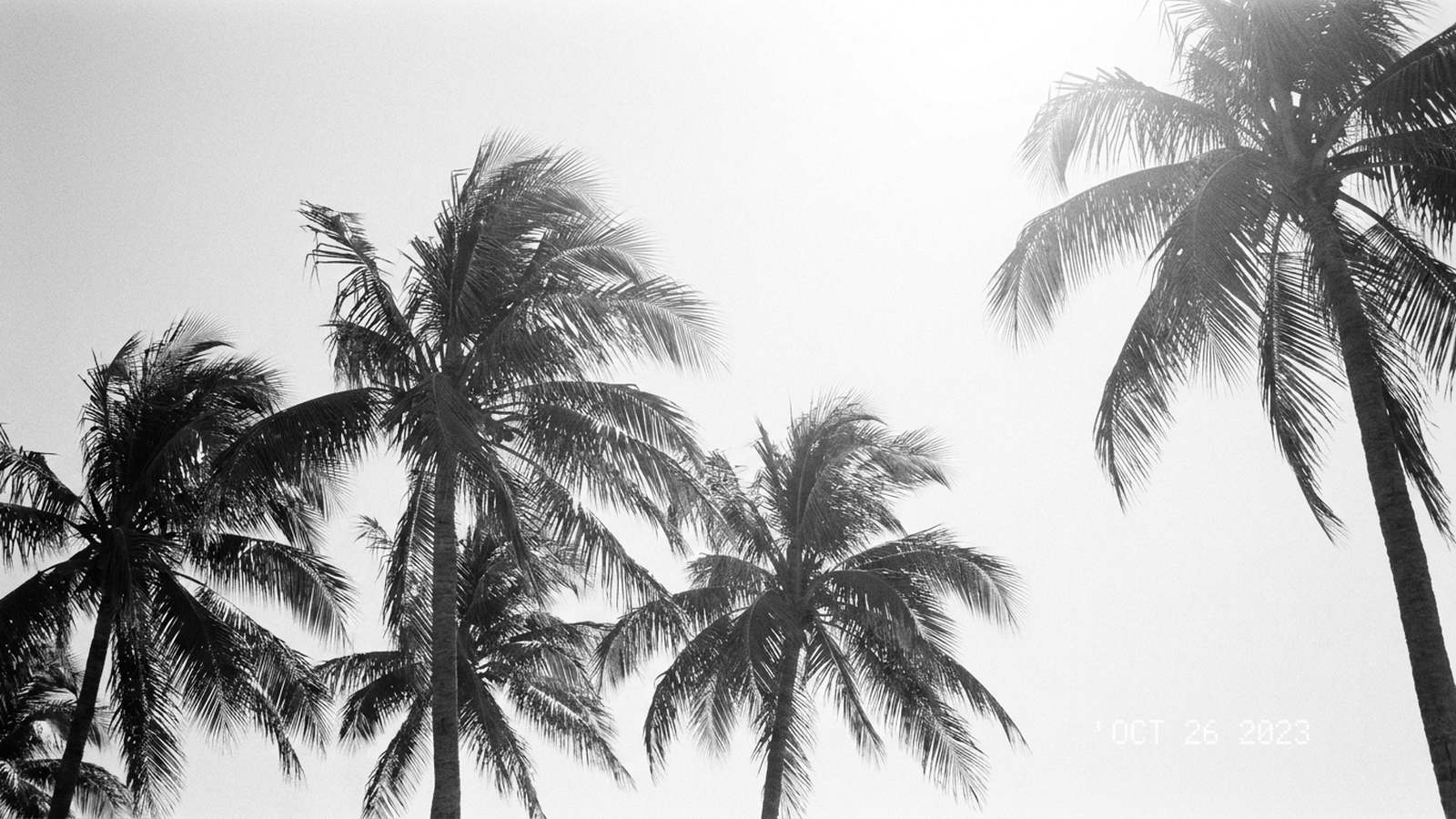 Delray Beach Market Report: Q2 2026