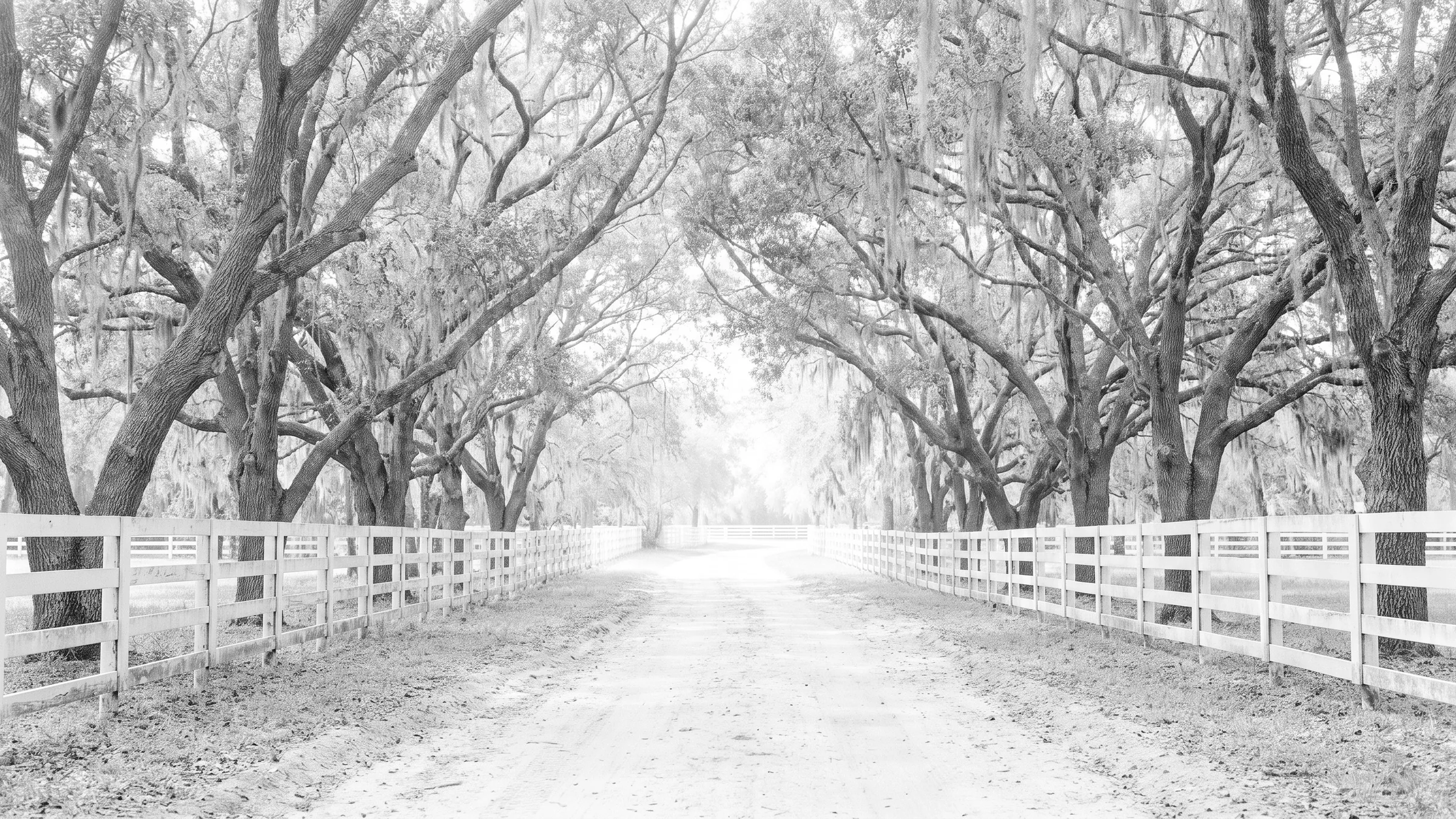 Palm Beach Equestrian Estates for Sale image