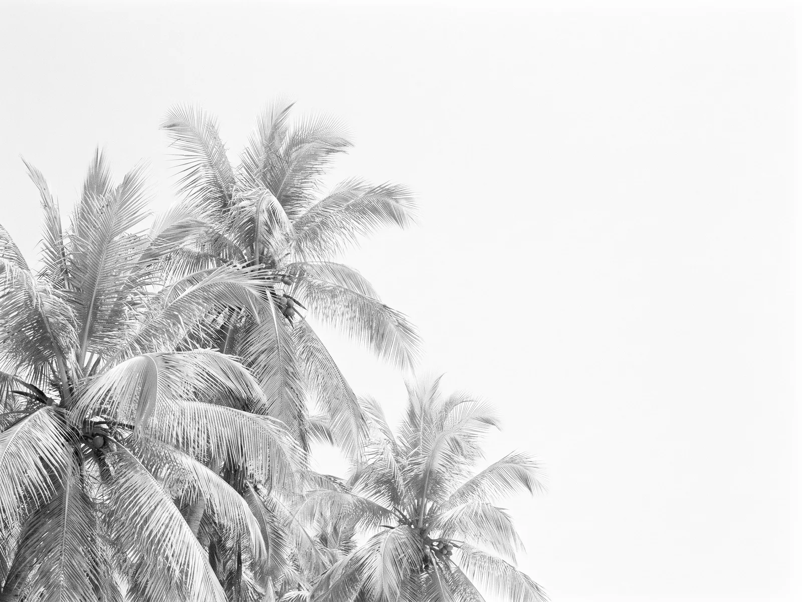 Highland Beach