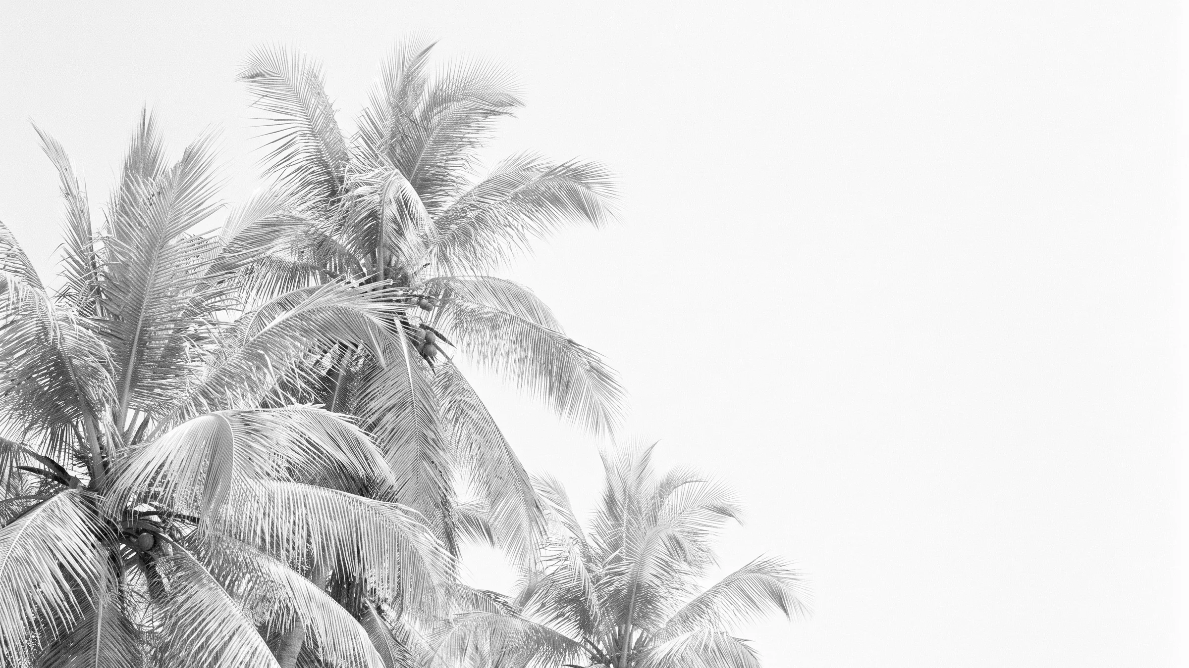 Highland Beach Homes for Sale