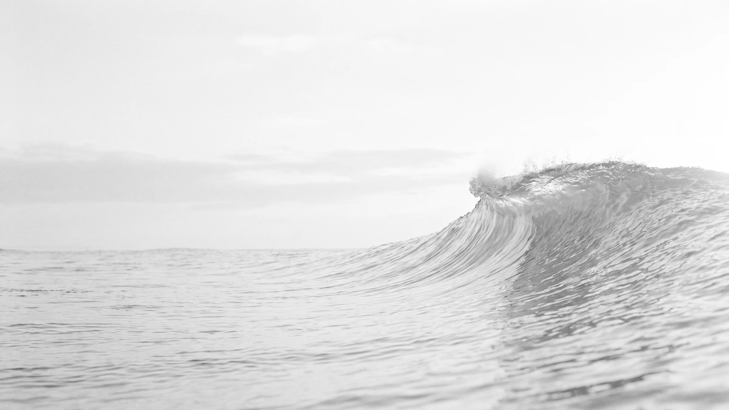 Palm Beach Social & Event Guide image