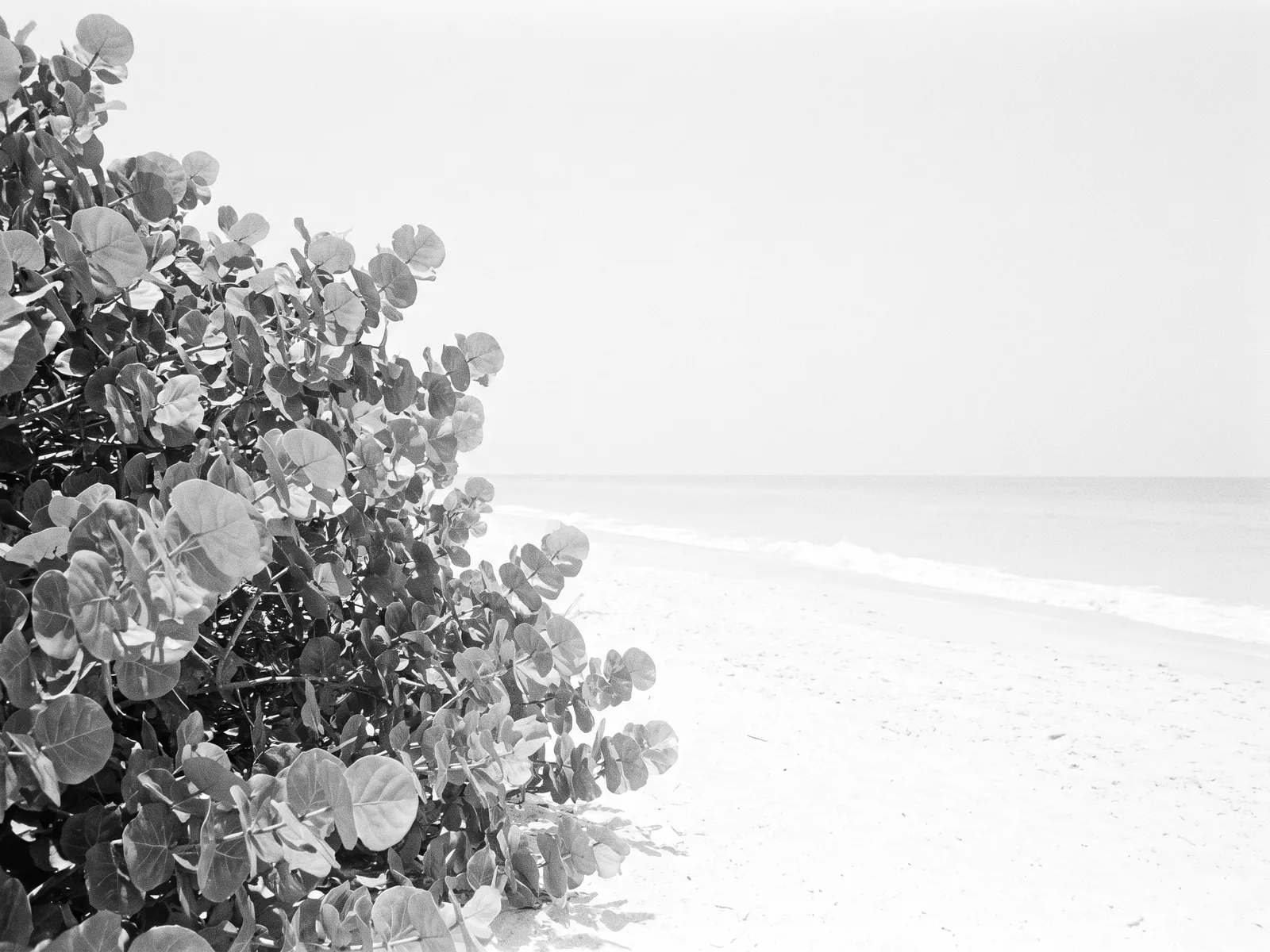 Juno Beach