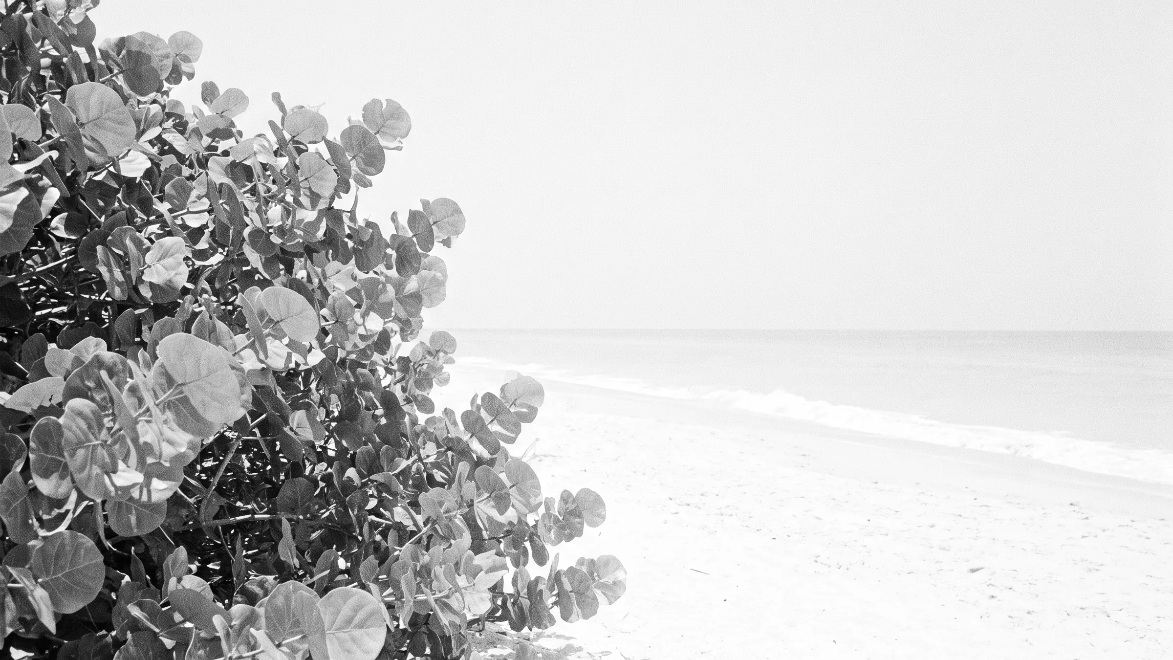 Juno Beach<br>Homes for Sale image