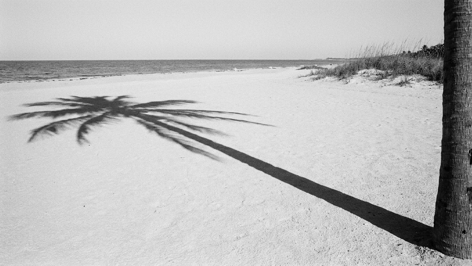 The Palm Beach North Effect: Why Jupiter Leads Florida’s Quiet Luxury Movement