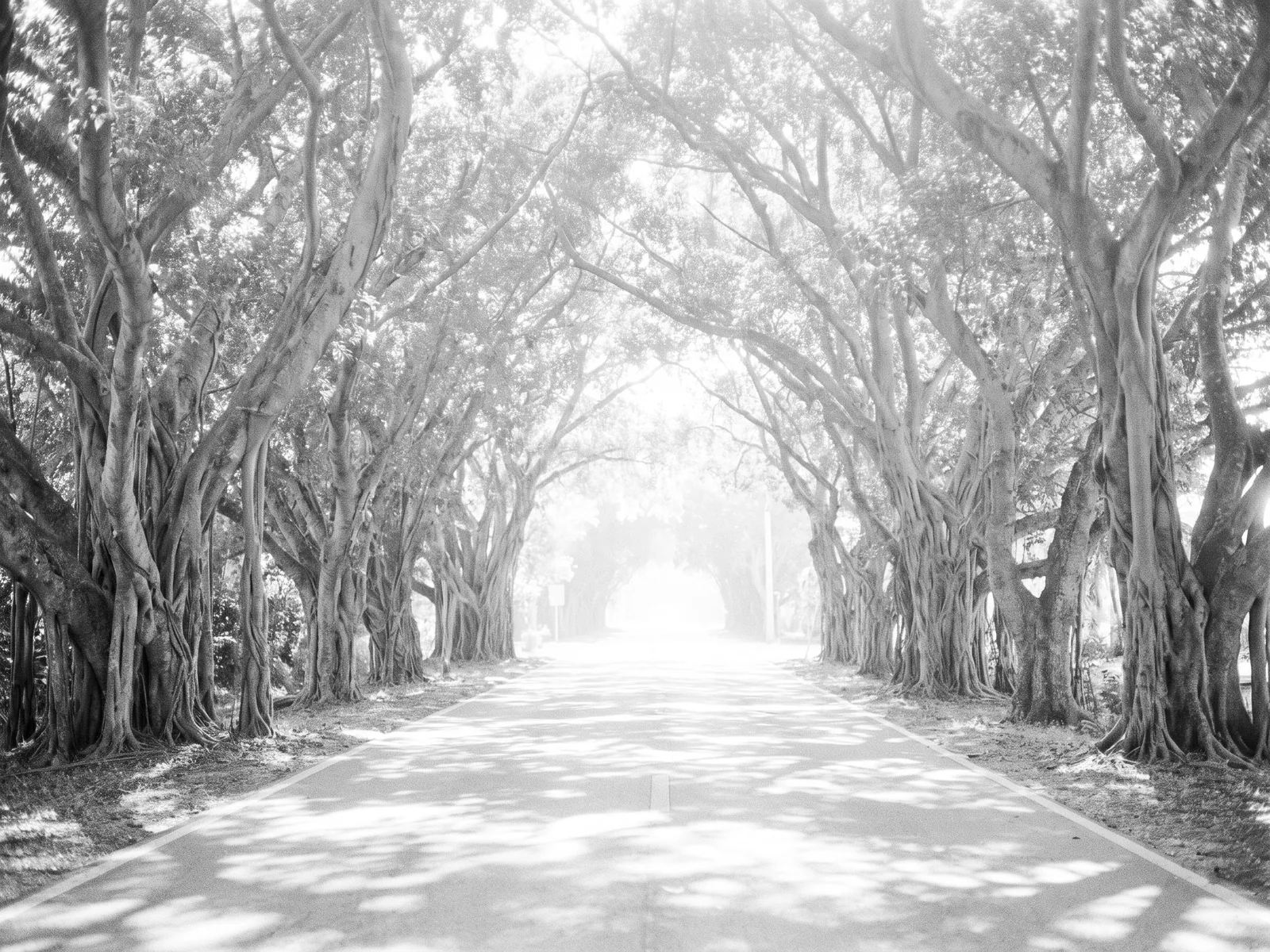 Jupiter Island
