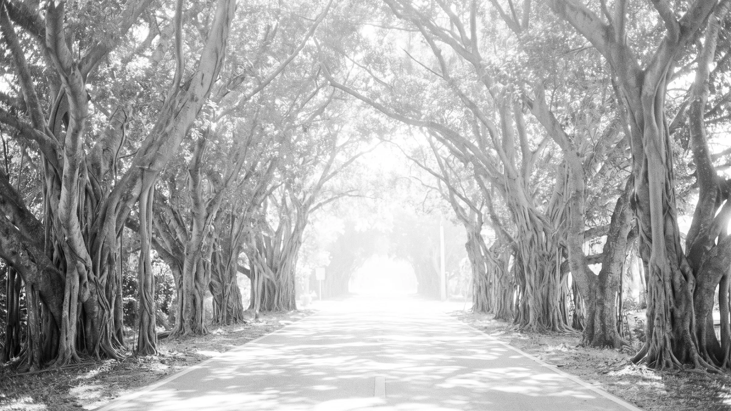 Jupiter IslandHomes for Sale