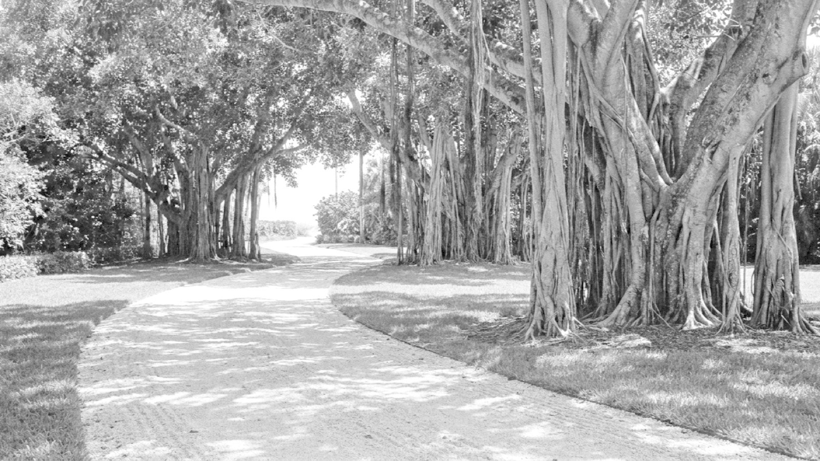 Sales by Appointment: Jupiter Island’s Quiet, Expensive First Quarter