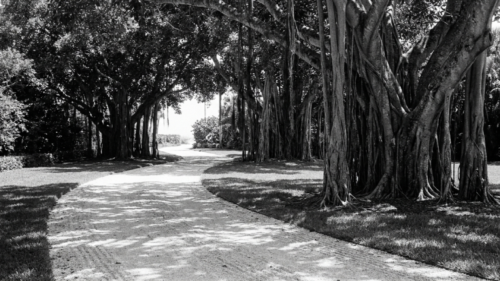 Sales by Appointment: Jupiter Island’s Quiet, Expensive First Quarter