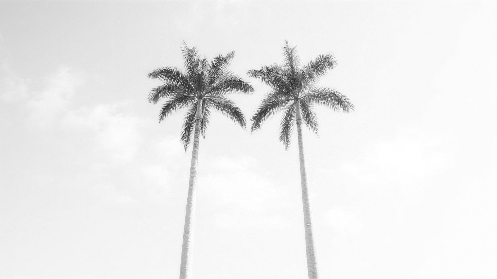 Jupiter Island and Palm Beach Are Priced for Different Things