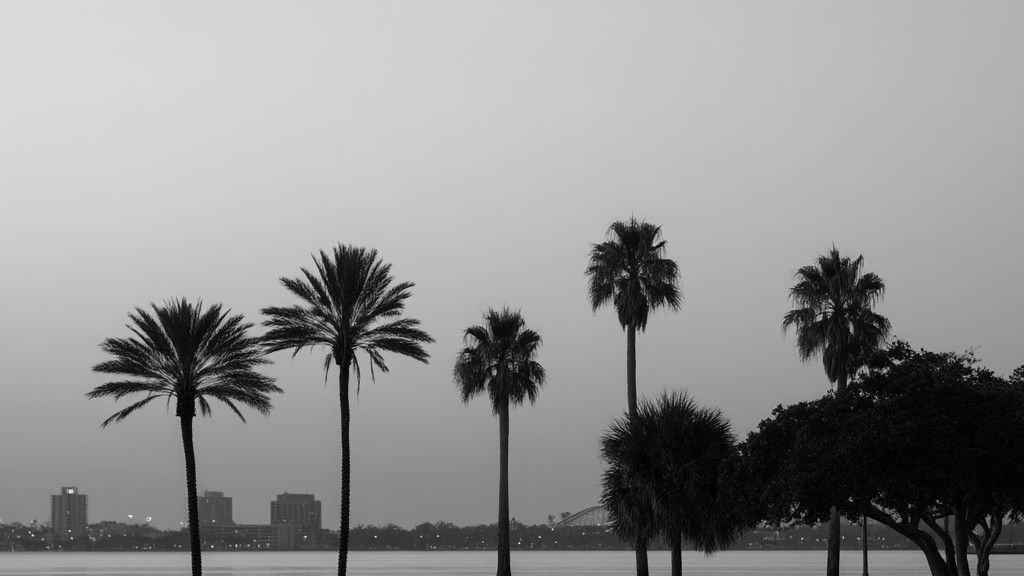 Jupiter vs. Miami: A Real Estate Fundamentals Comparison