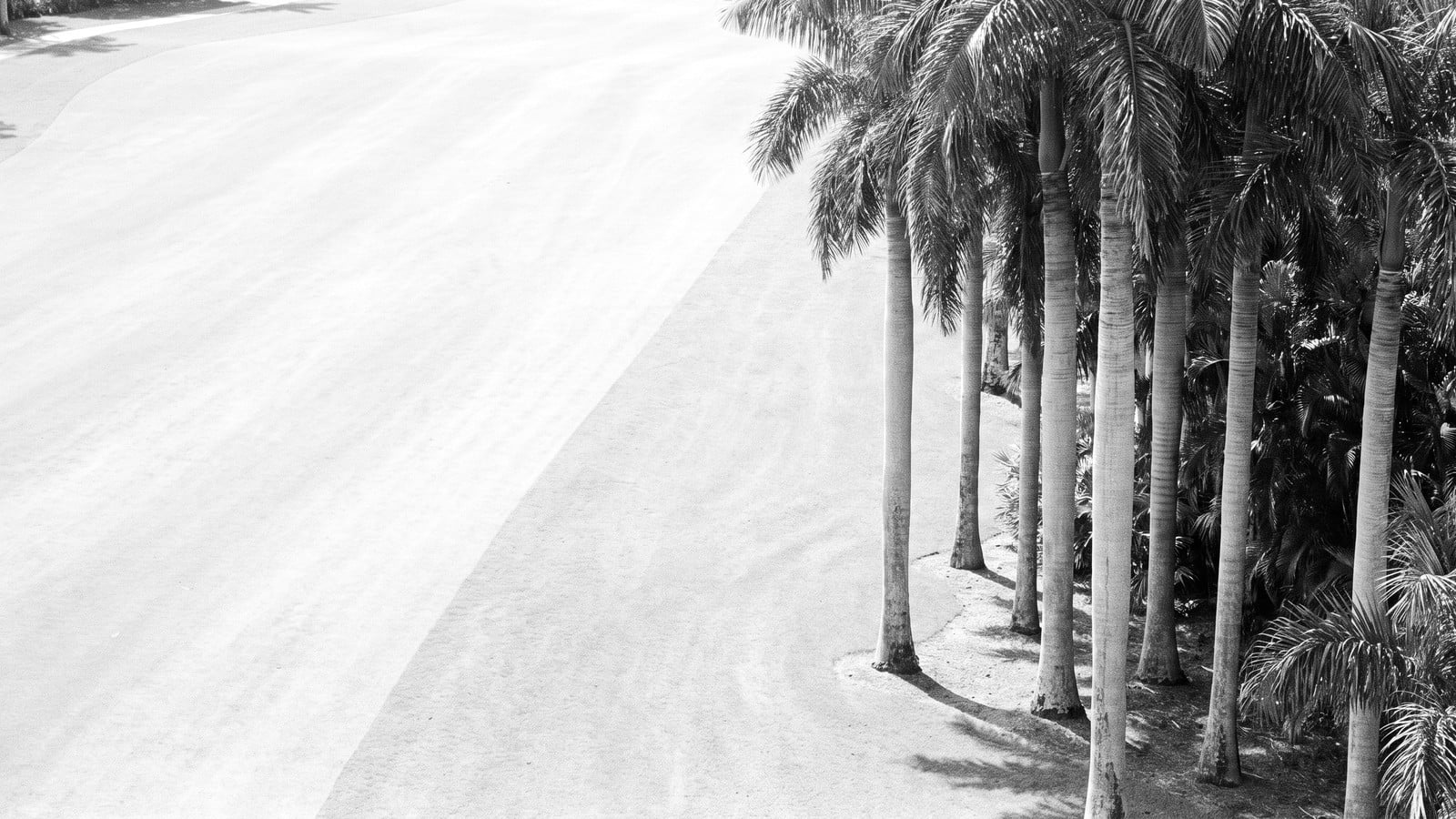 Living at Lost Tree Village: The Community, the Club, and the Real Estate