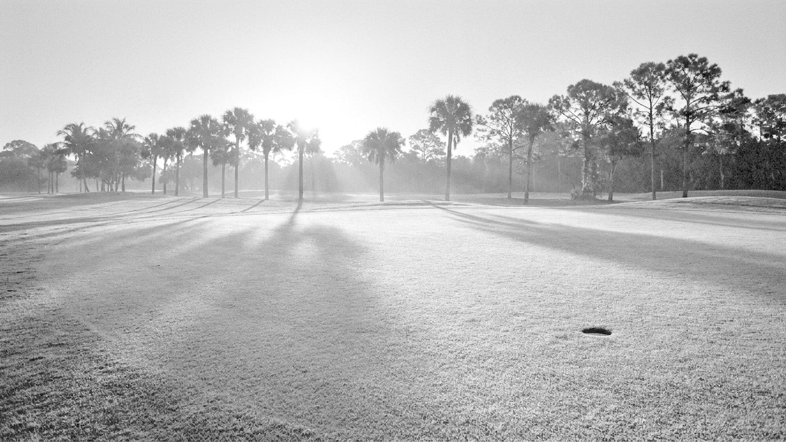 Living at The Loxahatchee Club: The Walking Course, the Intimacy, and What 285 Homes Actually Feels Like