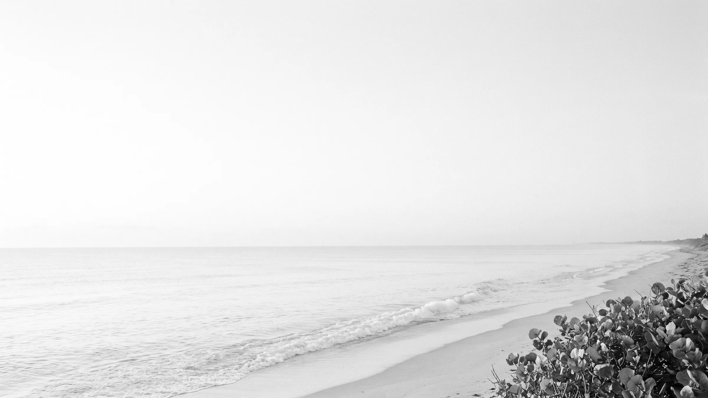 The Palm Beach County coast curving away from the dune at first light, black and white