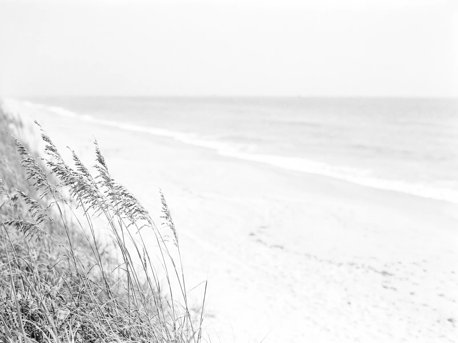 Ocean Ridge
