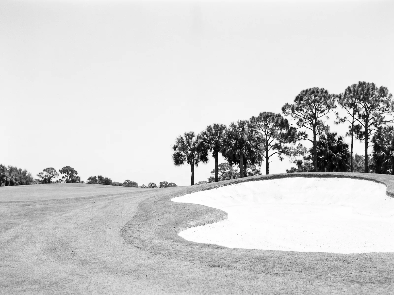 Old Marsh Golf Club