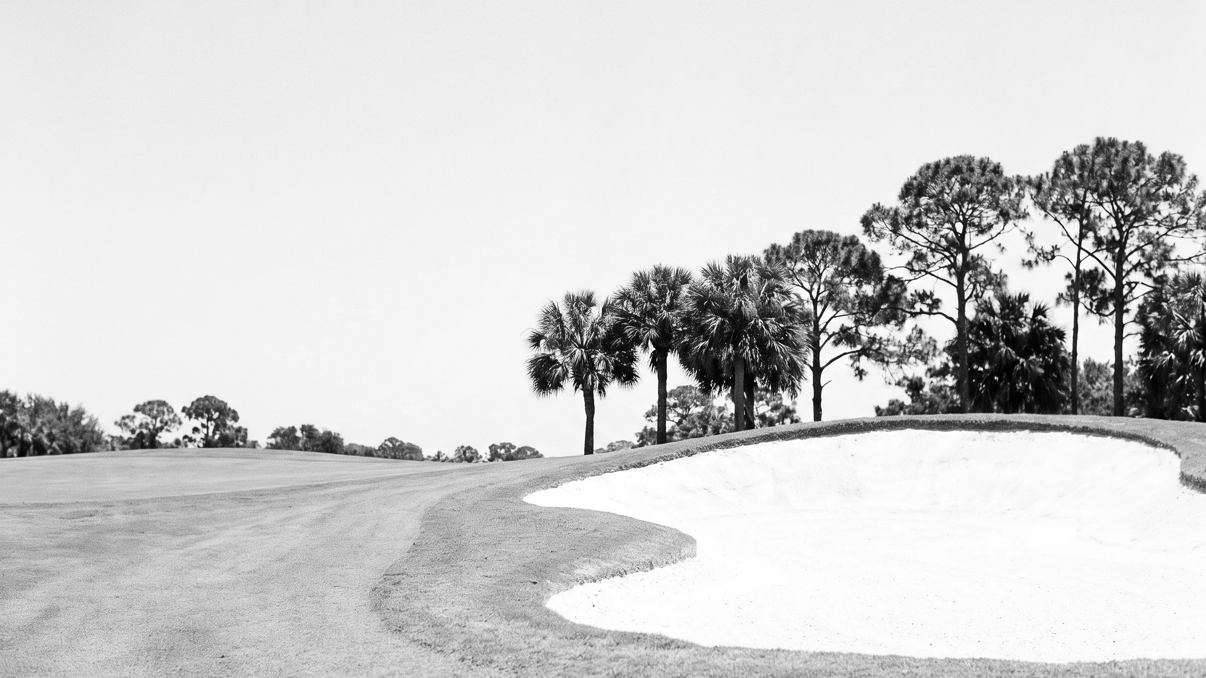 Old Marsh Golf ClubHomes for Sale