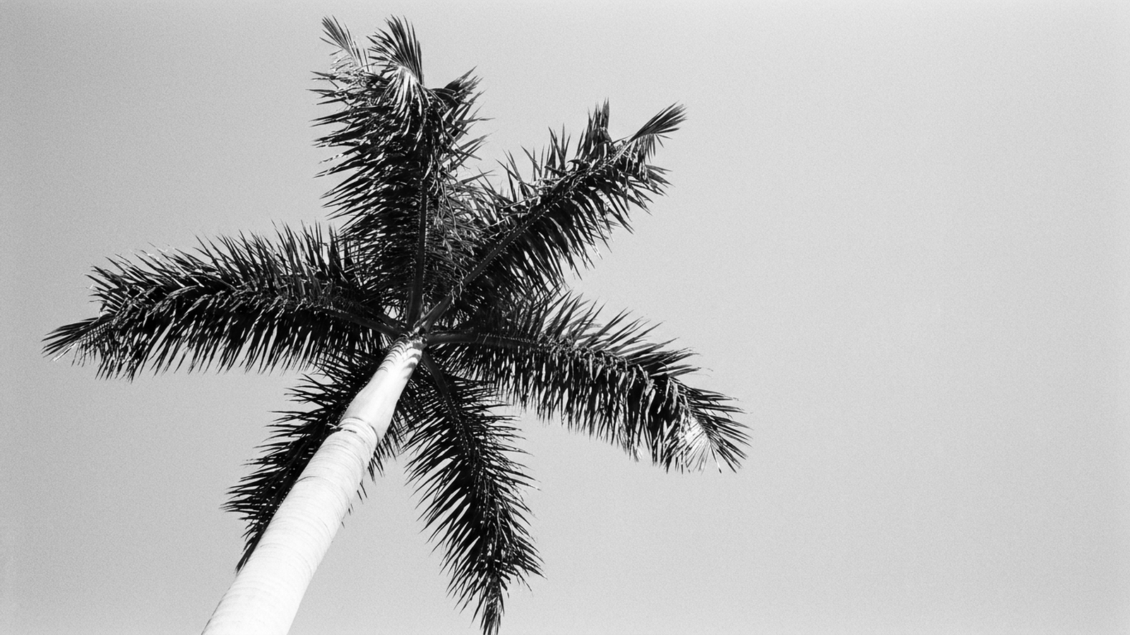 Living at Old Palm: The Raymond Floyd Course, the Estate Lots, and What PBG’s Most Private Club Community Feels Like