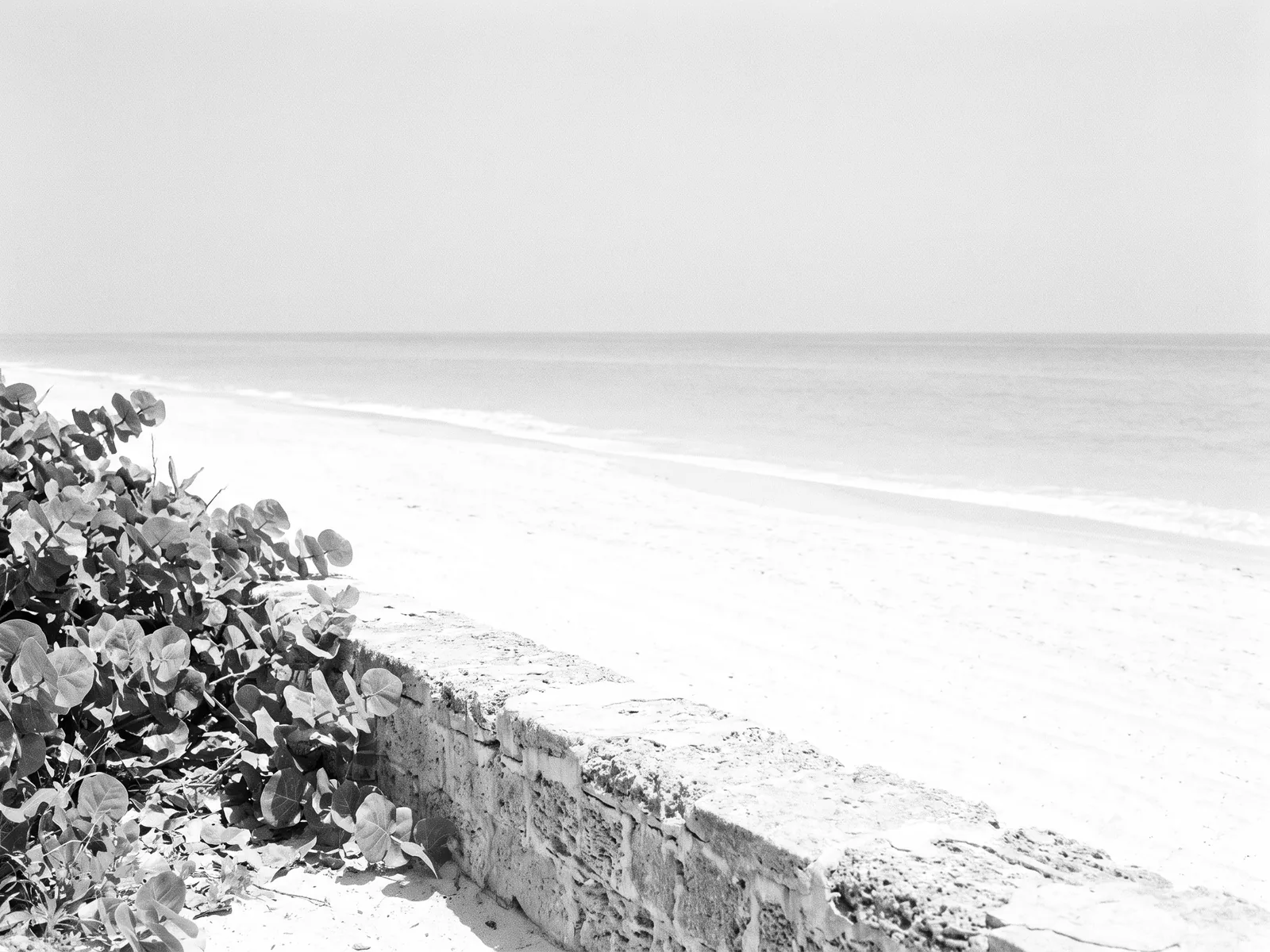 Palm Beach