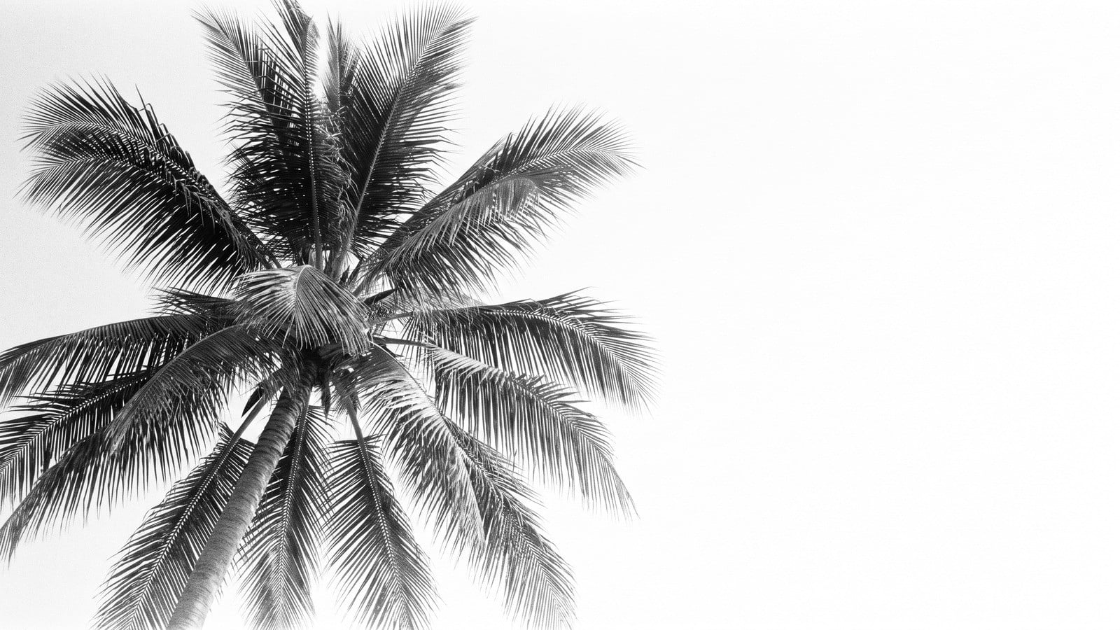 Palm Beach County Luxury Real Estate: The 2026 Buyer’s Playbook