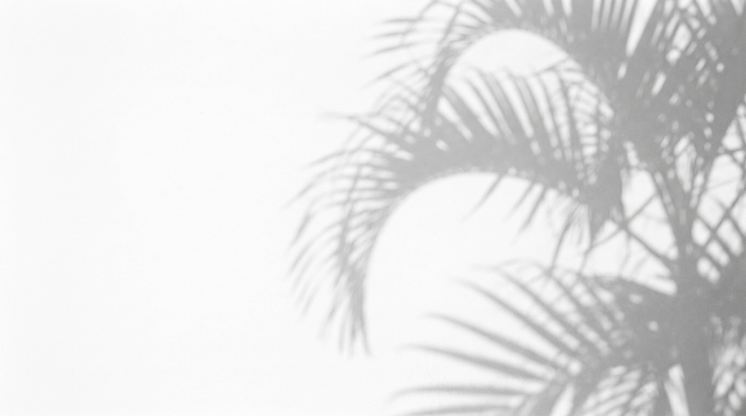 Palm Beach Hampton<br>Condos for Sale image