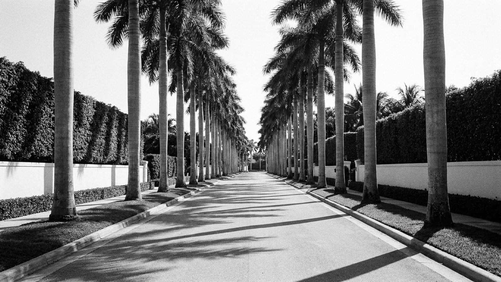 Palm Beach Repriced: Five Years of Island Sales Data