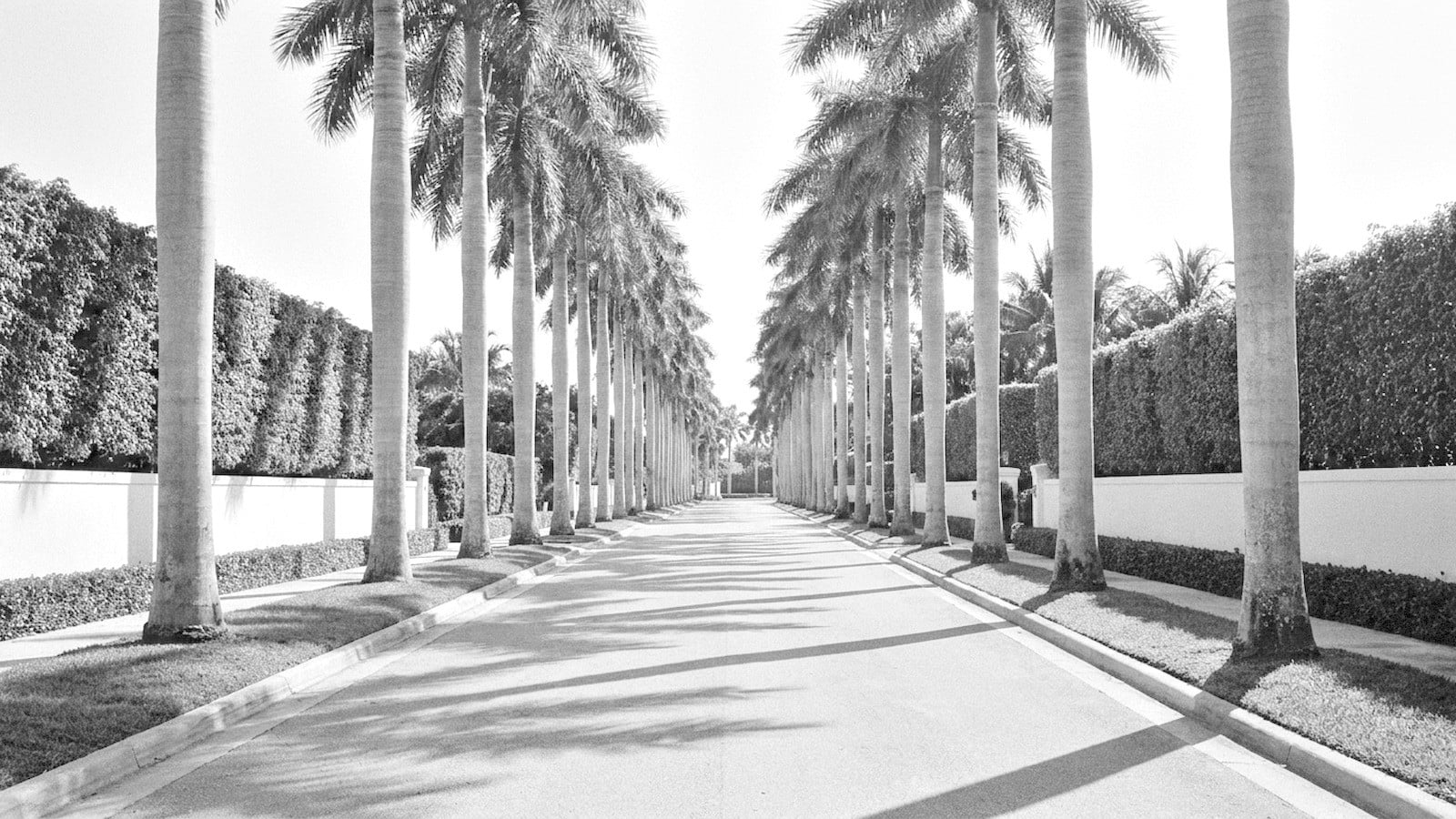 Palm Beach Repriced: Five Years of Island Sales Data