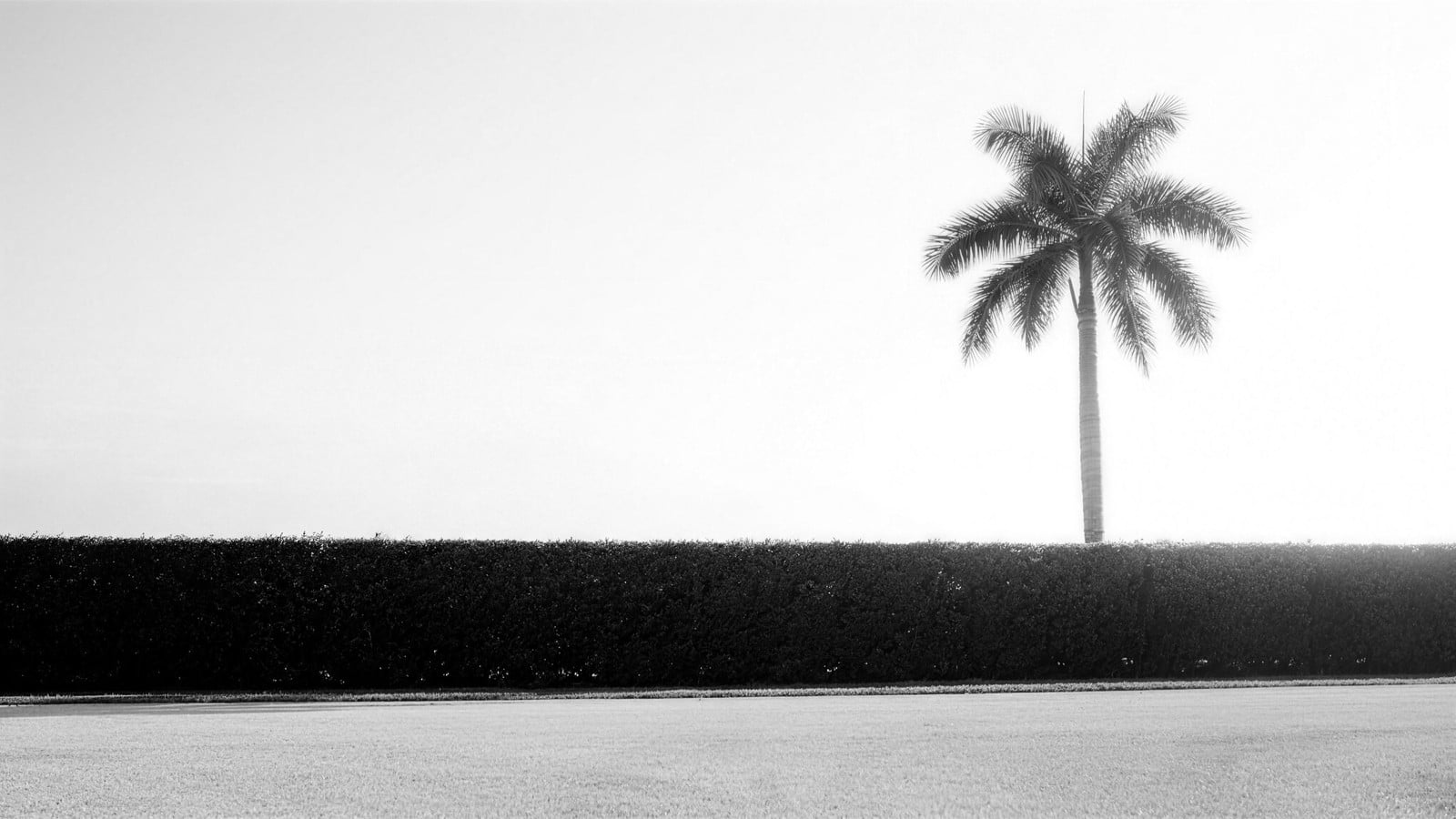 The Palm Beach Record Book: Every Great Sale Since 2021