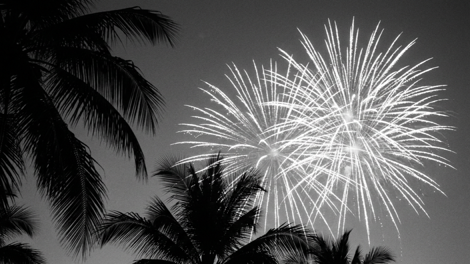 The Complete Guide to Palm Beach’s Social Season (2026-2027)
