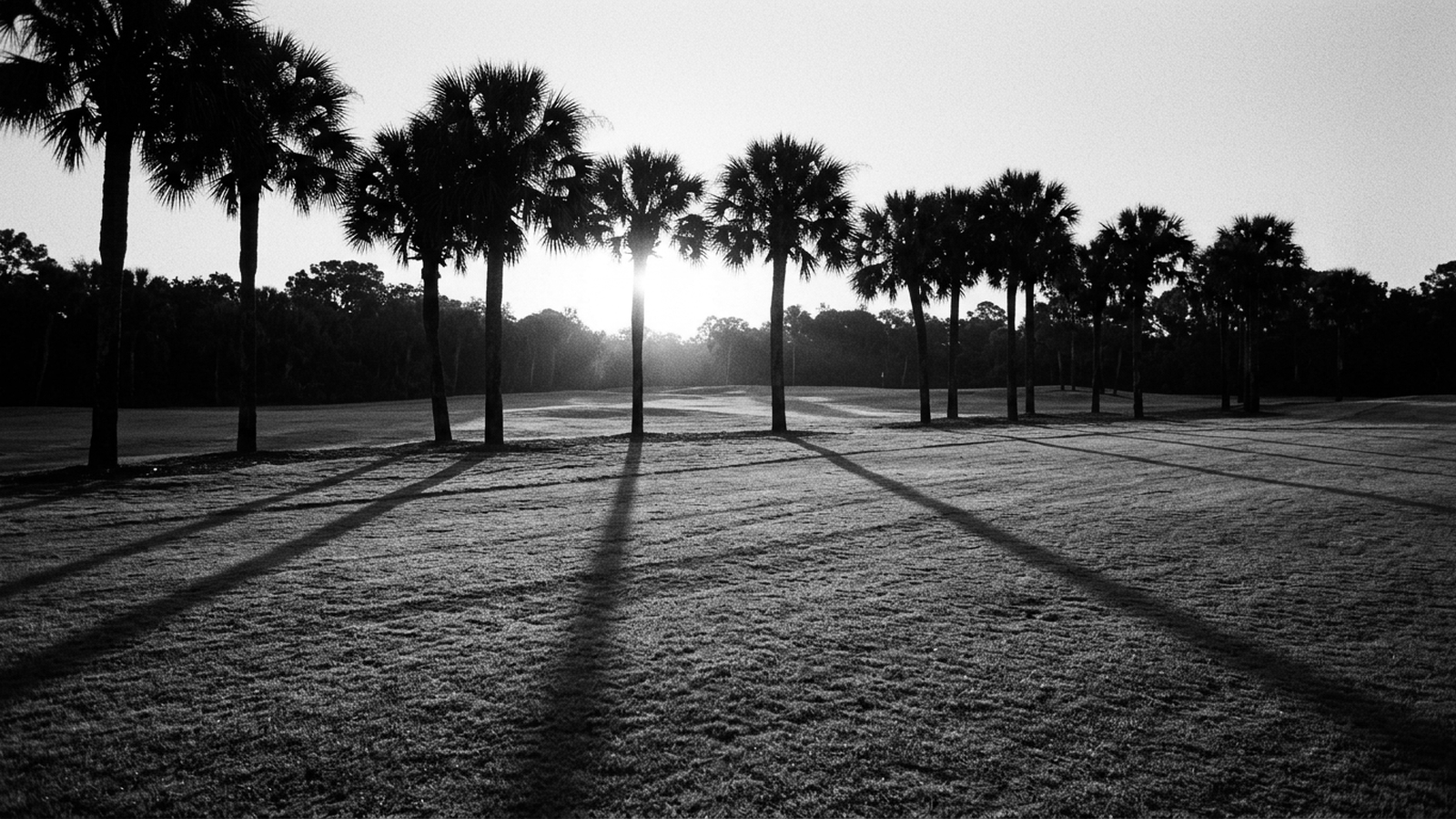 When to Buy in Palm Beach County’s Private Golf Communities
