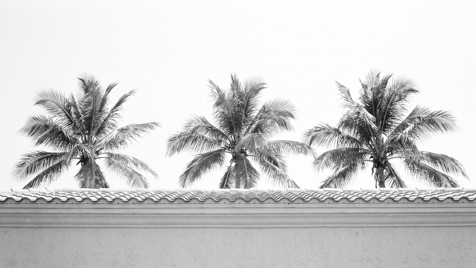 What Property Taxes Cost in Palm Beach