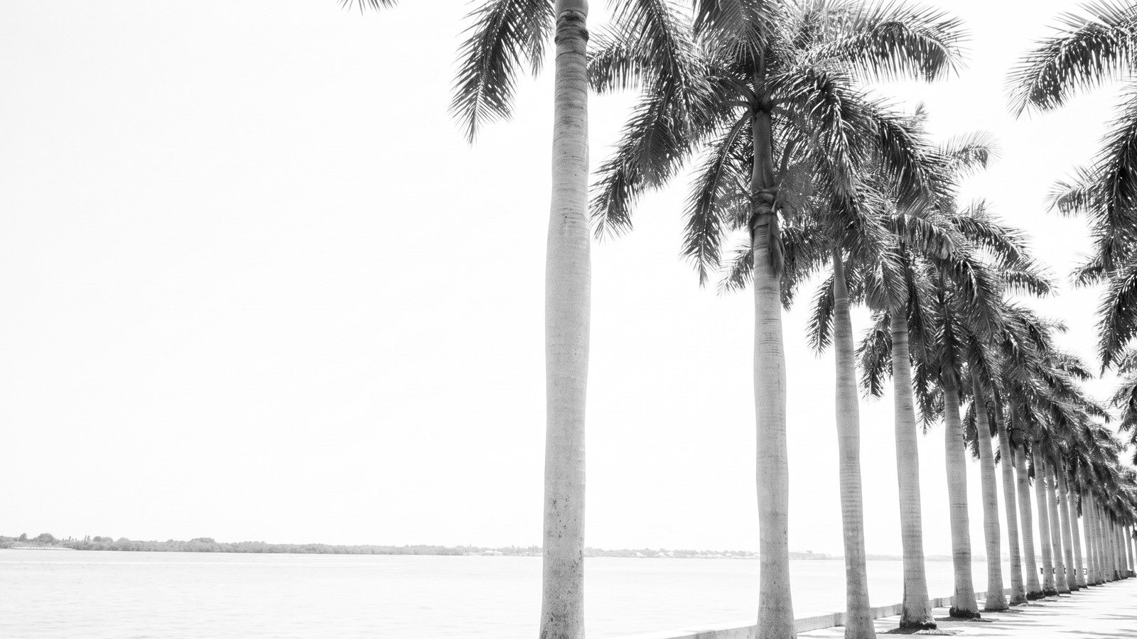What Property Taxes Cost in West Palm Beach