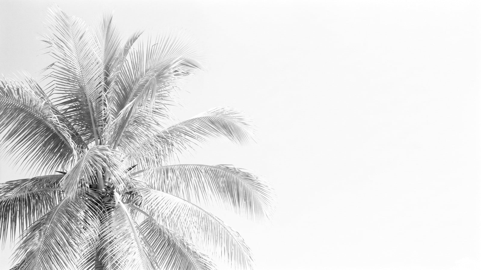 Relocating to Palm Beach County: A $5M+ Buyer’s Playbook