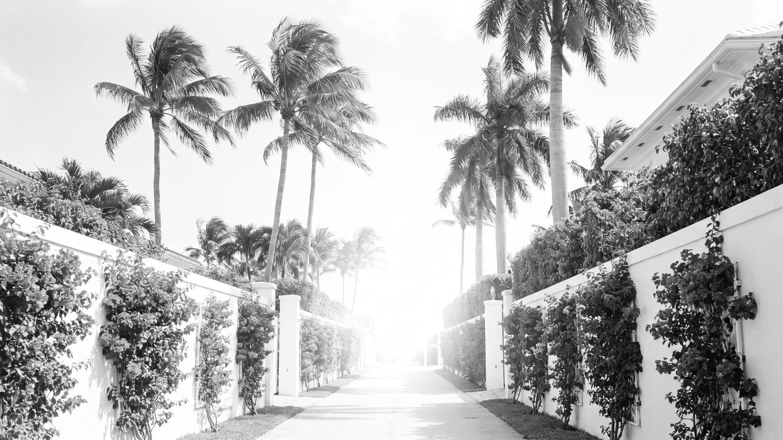 Relocating to Palm Beach County: Your Questions Answered (2026)